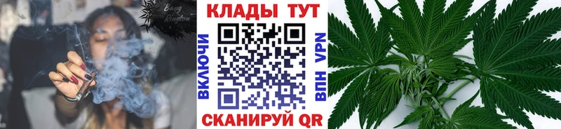 Где купить наркотики Новый Оскол Псилоцибиновые грибы  Меф мяу мяу  Марихуана 