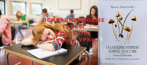 соль ск Вязьма