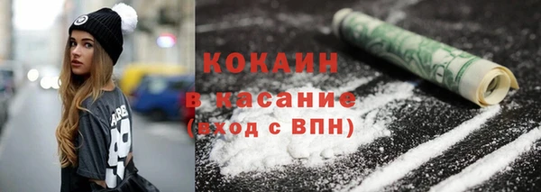 apvp Вяземский