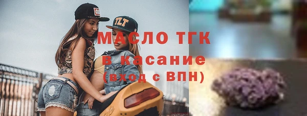 apvp Вяземский