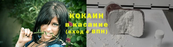 apvp Вяземский