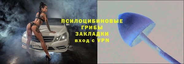 apvp Вяземский