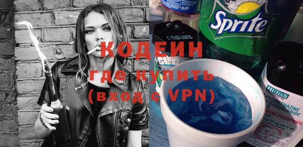 apvp Вяземский