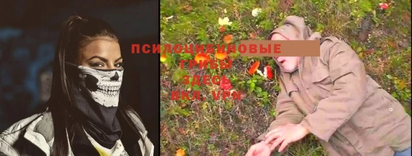 apvp Вяземский